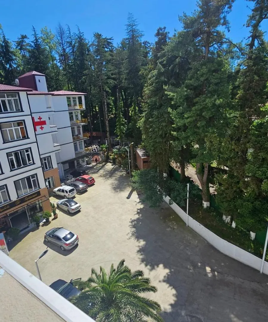 Lux Apartment 3 Makhinjauri Georgia